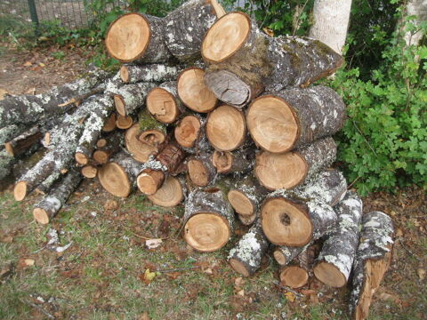 bois de chauffage Boulazac Isle Manoire (24)