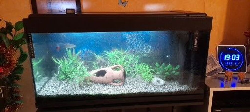 AQUARIUM 200 LITRES AVEC MEUBLE NOIR ET ACCESSOIRES Décoration