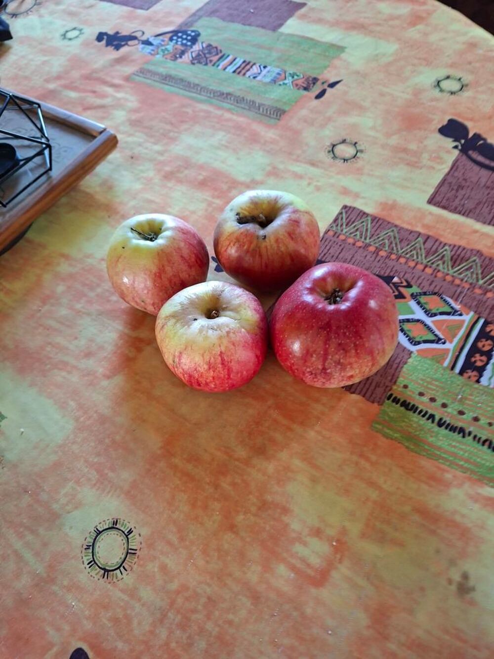Pommes et poires Jardin