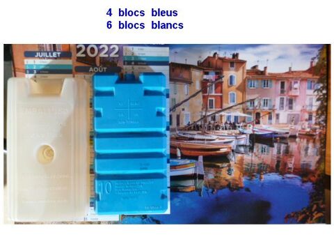 10 blocs de réfrigération - rafraîchisseurs 1 Martigues (13)