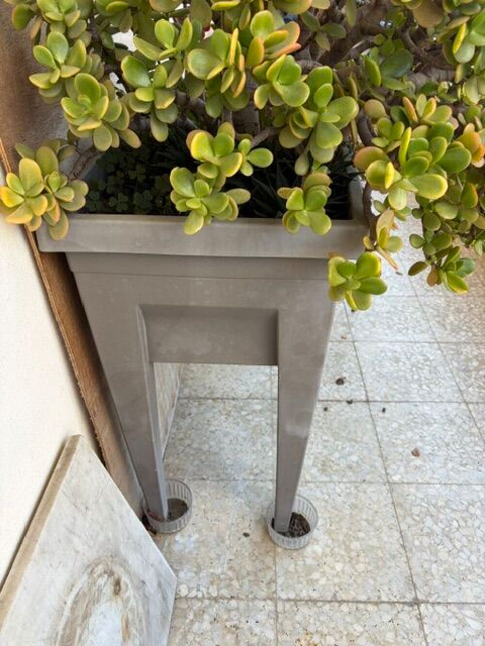 Jardini&egrave;re de terrasse ou balcon Jardin
