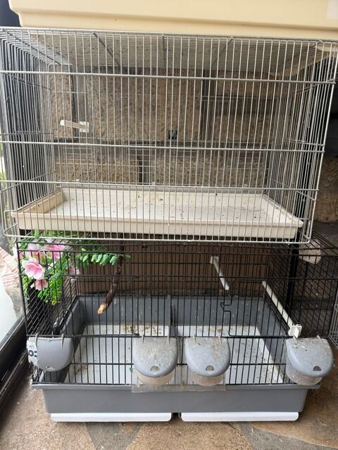Cage pour oiseaux 20 93330 Neuilly-sur-marne
