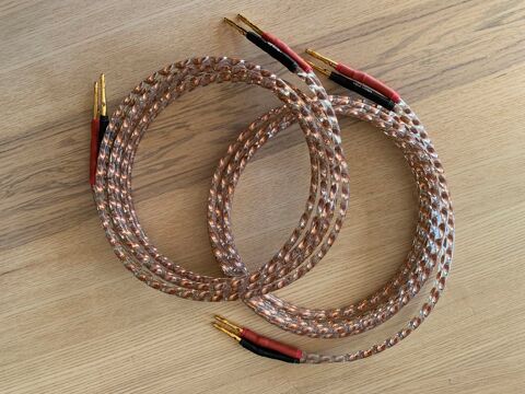 Paire cbles Haut-Parleurs TTAF 93008 150 Prmanon (39)