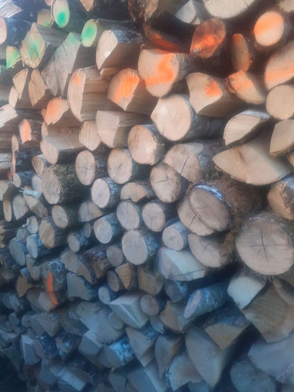 Bois de chauffage Jardin