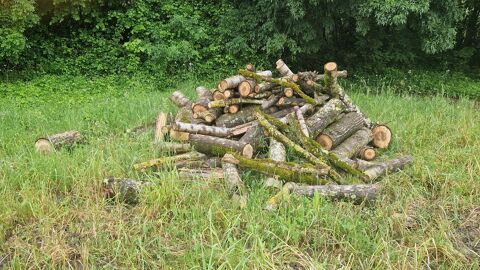 bois de chauffage peuplier ormeau fr�ne 60 Chef-Boutonne (79)
