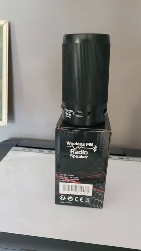 RADIO WIRLESS FM Lavalette (31)