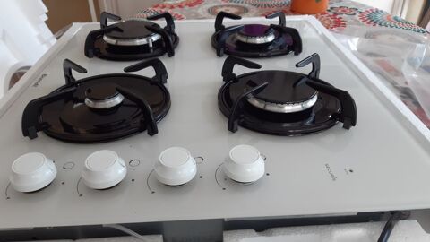 Plaque de cuisson servie 3 mois 100 Haute-Goulaine (44)