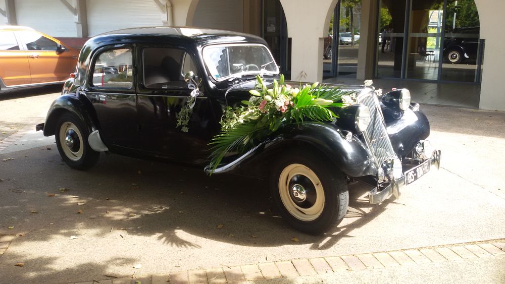  1955 occasion 40280 Saint-Pierre-du-Mont