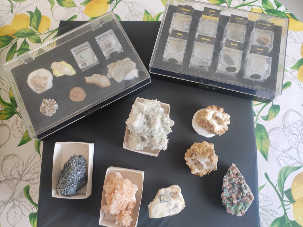 collection+pierres+et+fossiles 