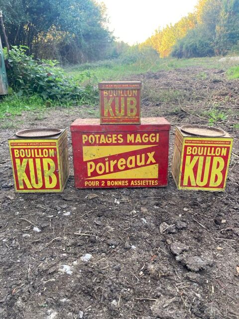 Botes kub or 60 Saujon (17)