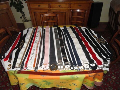 Lot de divers ceintures femme 10 Sabl-sur-Sarthe (72)