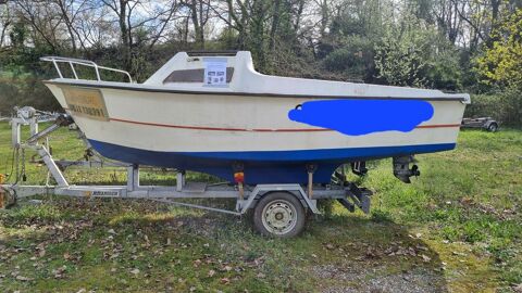 Bateaux à moteur Pêche-promenade 1983 occasion Frouzins 31270