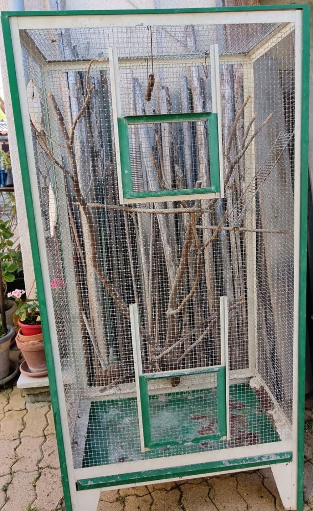   Grande cage 