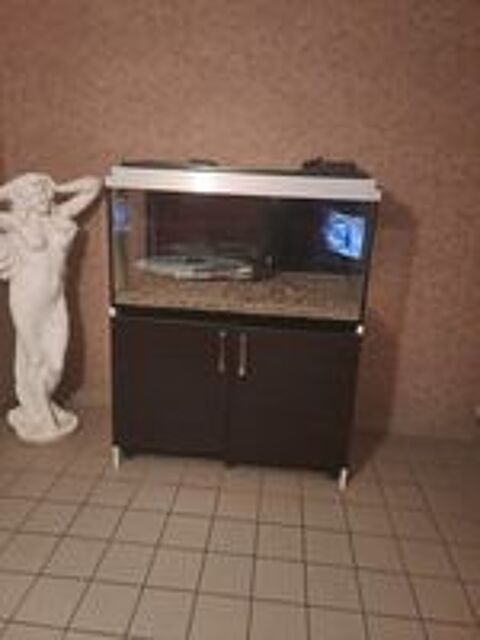   Aquarium 
Aquarium 400 litres .pas de rayures trs bon 