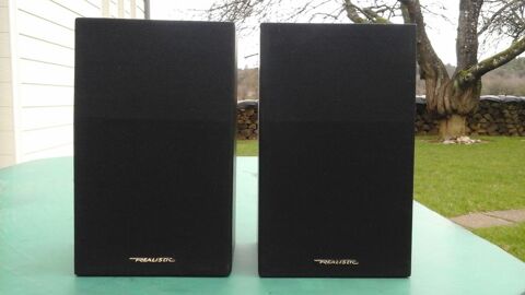 2 Anceintes de marque R�ALISTIC 10 Perrou (61)