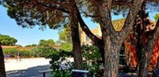  2021 occasion 85160 Saint-Jean-de-Monts