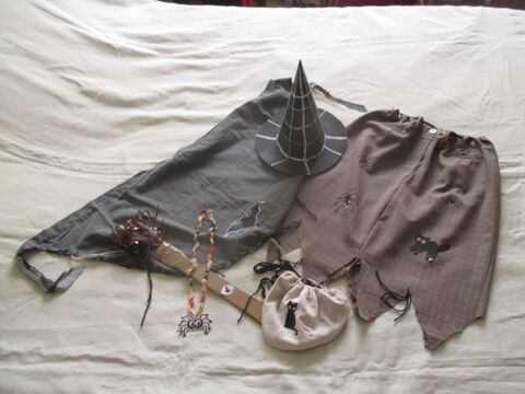 costume de sorcière au chat, chauve souris,araignées 0 Talence (33)