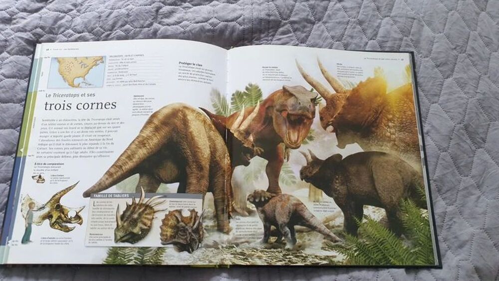 les dinosaures &agrave; la loupe
Tr&egrave;s bon &eacute;tat
Auteur
Long John
tr&egrave; Livres et BD