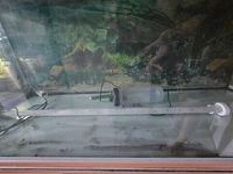   Aquarium 240 litres plus meuble 