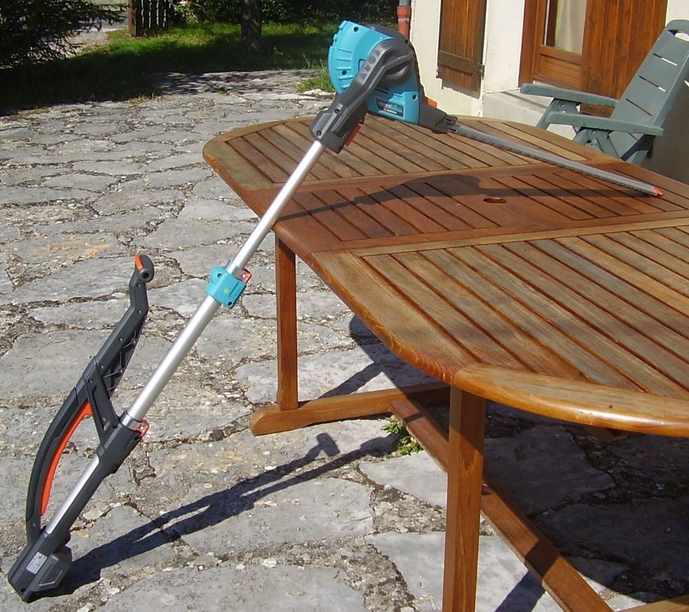 taille haie Jardin