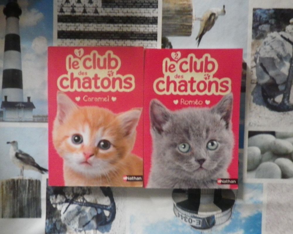 LE CLUB DES CHATONS N&deg;1 CARAMEL et N&deg;2 ROMEO Ed. Nathan Livres et BD