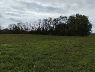  Terrain  vendre 1000 m