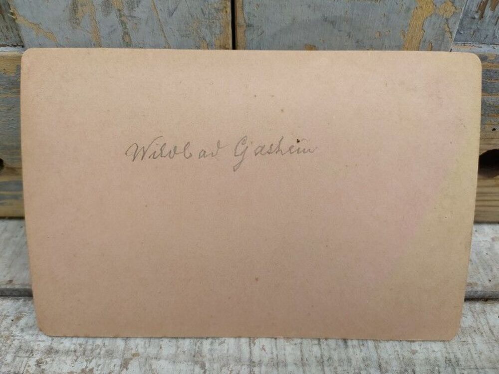 Photographies XIX&egrave;me Vienne Autriche Wien Albumen ca1880 