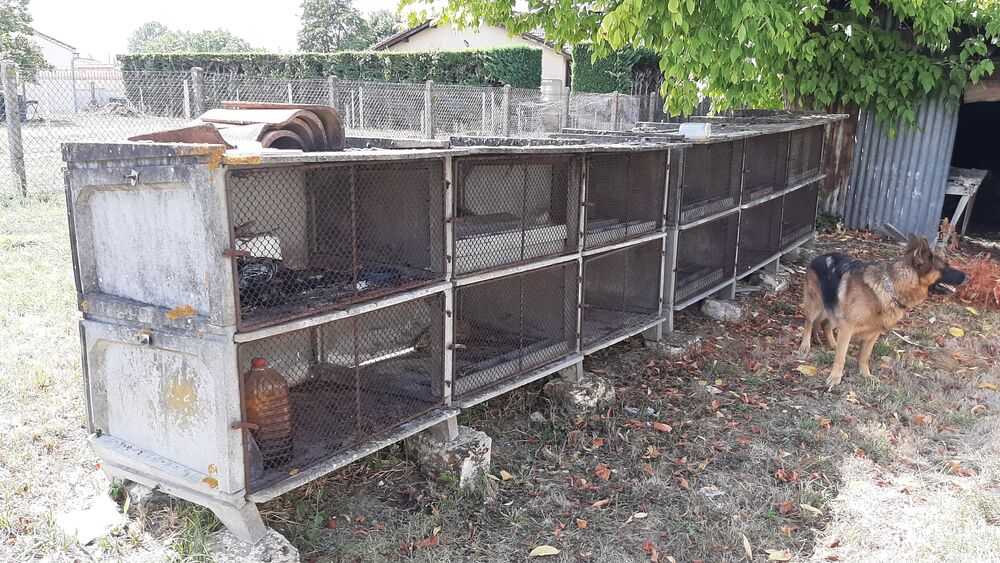 Clapier lapins en b&eacute;ton 6 cases Lot de deux
Clapiers Jardin
