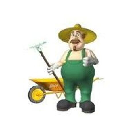   SERVICE JARDINAGE , MULTI-TACHES ET PLUS : 
