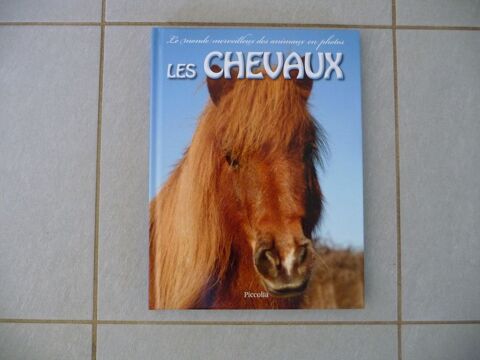 Livre le monde merveilleux les chevaux - Neuf 7 Celles-sur-Belle (79)