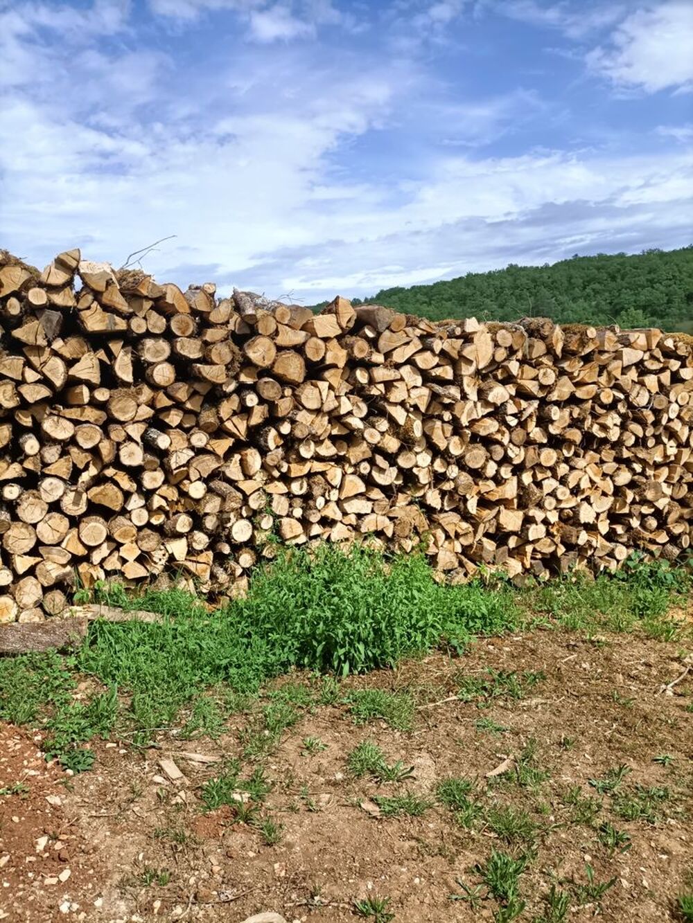Ch&ecirc;ne bois de chauffage . Jardin