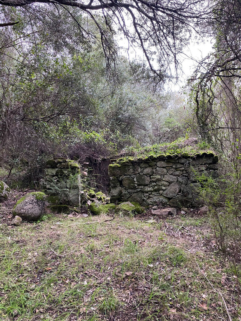 Vente Terrain PARCELLES BOISEES AVEC RUINE BERGERIE CADASTREE Pila-canale