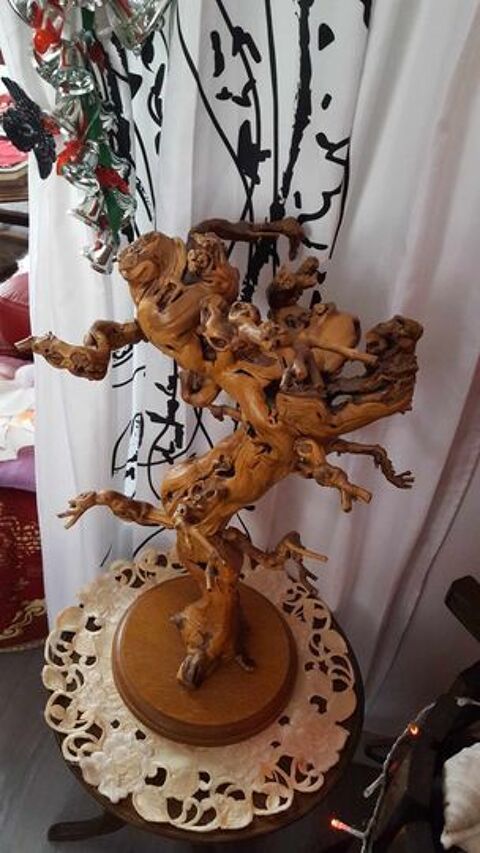 Magnifique pied de vigne ancien sur socle exotique N1258 15 Beaune (21)
