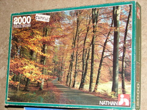 PUZZLE NATHAN  sous-bois � l'automne  10 Chauny (02)