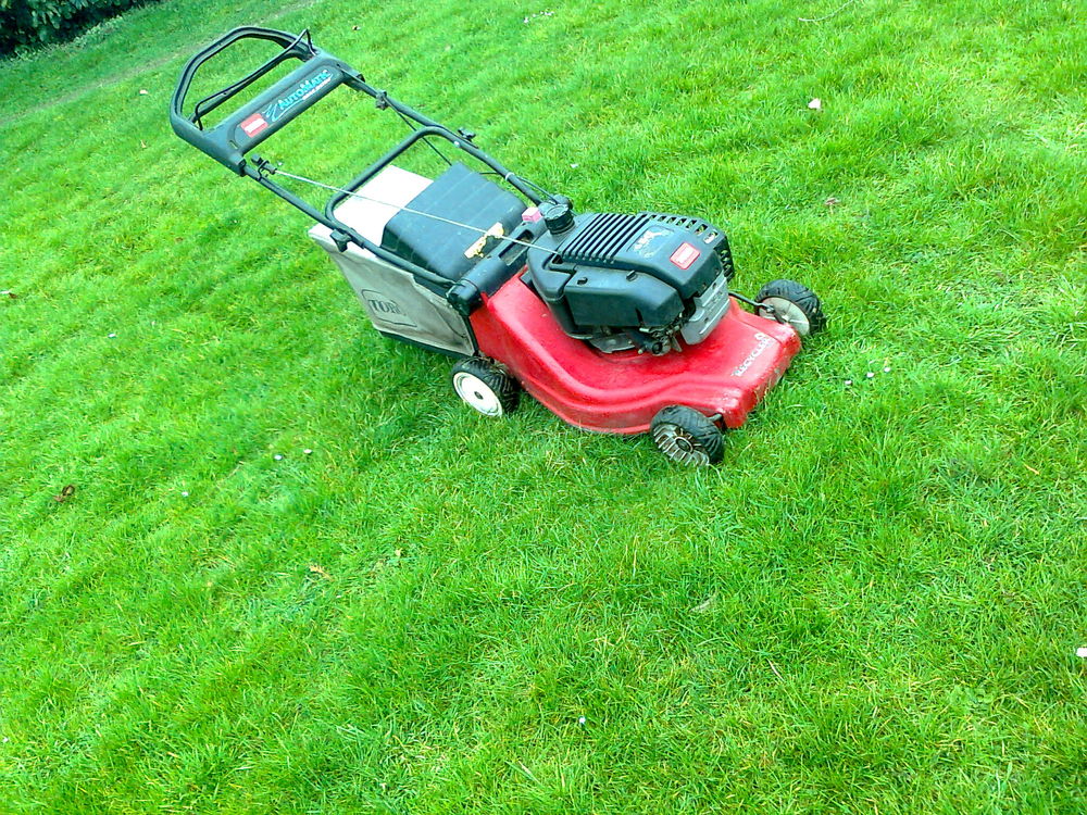 tondeuse non tract&eacute;e TORO Jardin