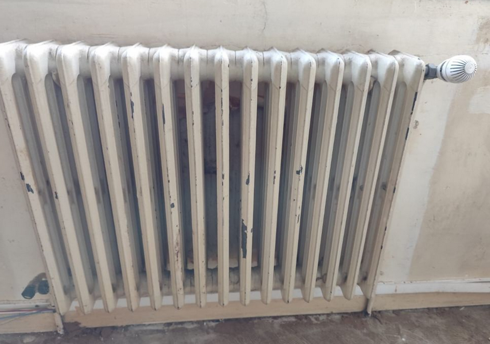 Radiateurs fonte anciens ? tr&egrave;s bon &eacute;tat ? &agrave; saisir 350 pour Meubles