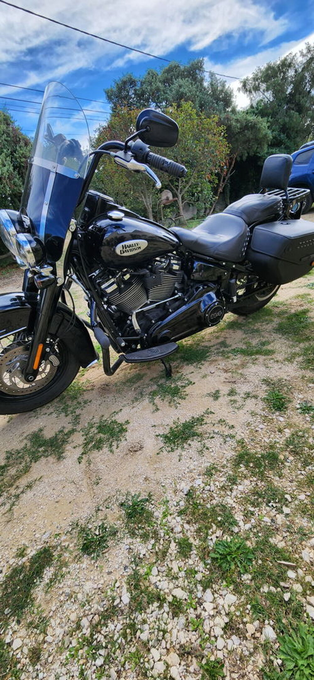 HARLEY-DAVIDSON 2021 occasion 30330 Saint-Laurent-la-Vern&egrave;de