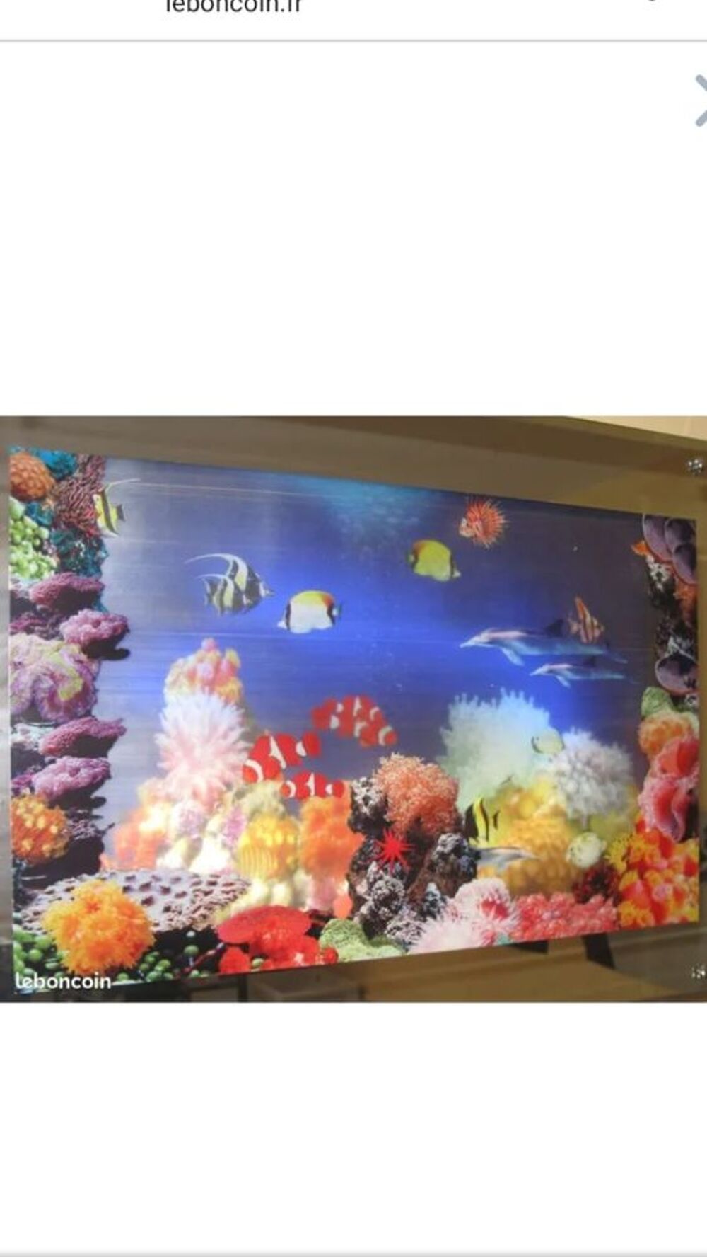 Cadre lumineux aquarium marin, Décoration
