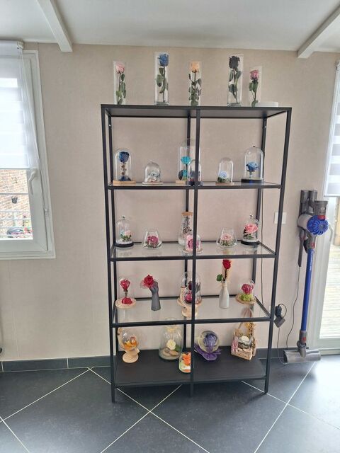 etagere en verre 70 Grenay (62)