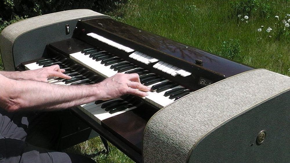 Bird Contemporary Mark II Instruments de musique