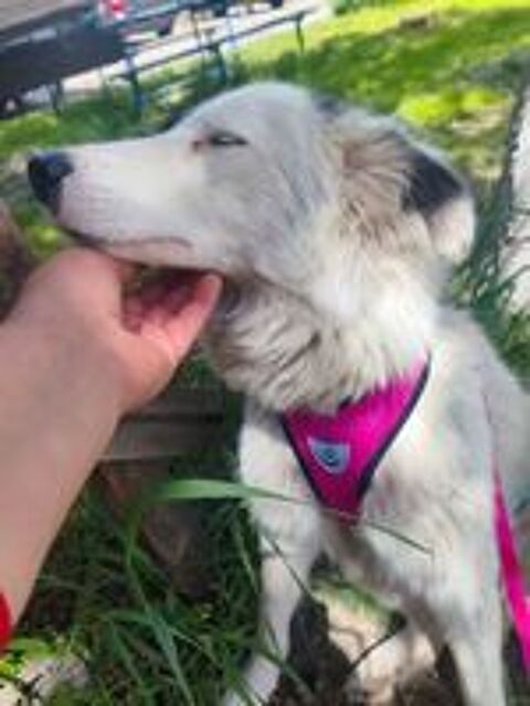   MARY SE TROUVE DANS UN REFUGE EN UKRAINE (RESERVEE) 
