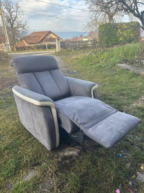 Fauteuil releveur �lectrique 100 �vian-les-Bains (74)
