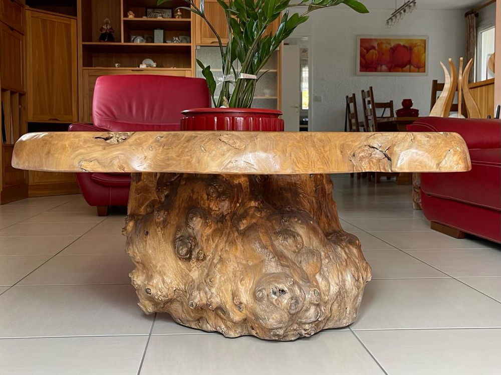 Table basse en loupe d'orme Meubles