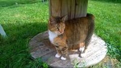   La belle Marinette attend sa famille 