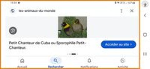   Recherche  
