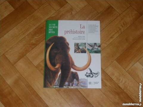 Livre  La préhistoire  pour enfants (4) 3 Tours (37)