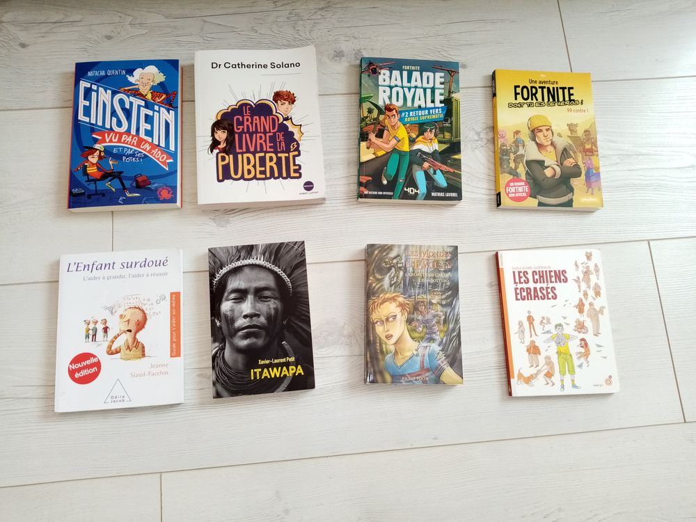 livre divers EINSTEIN fornite balade royale Livres et BD