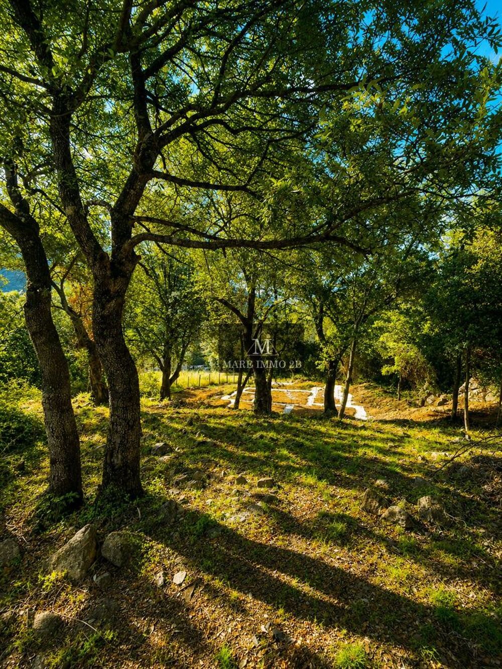 Vente Terrain Terrain constructible de 2468m² Galéria