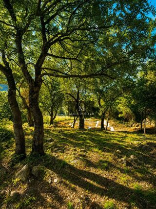  Terrain � vendre 2468 m� Gal�ria
