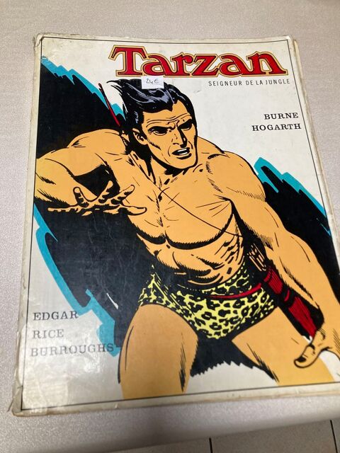 BD TARZAN 7 Arras (62)